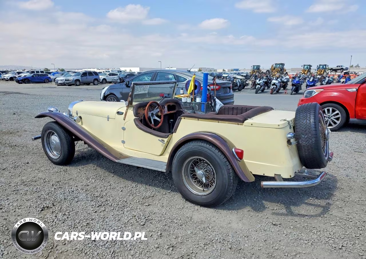 1974 Gaze Deluxe VIN:1342496707 - 2