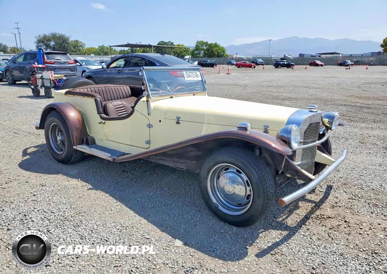 1974 Gaze Deluxe VIN:1342496707 - 4