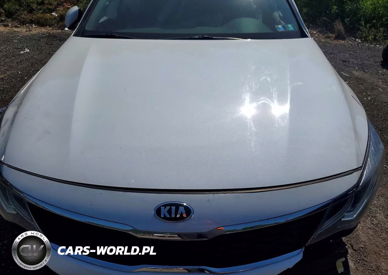 2019 Kia Optima Ex VIN:5XXGU4L14KG374594 - 11