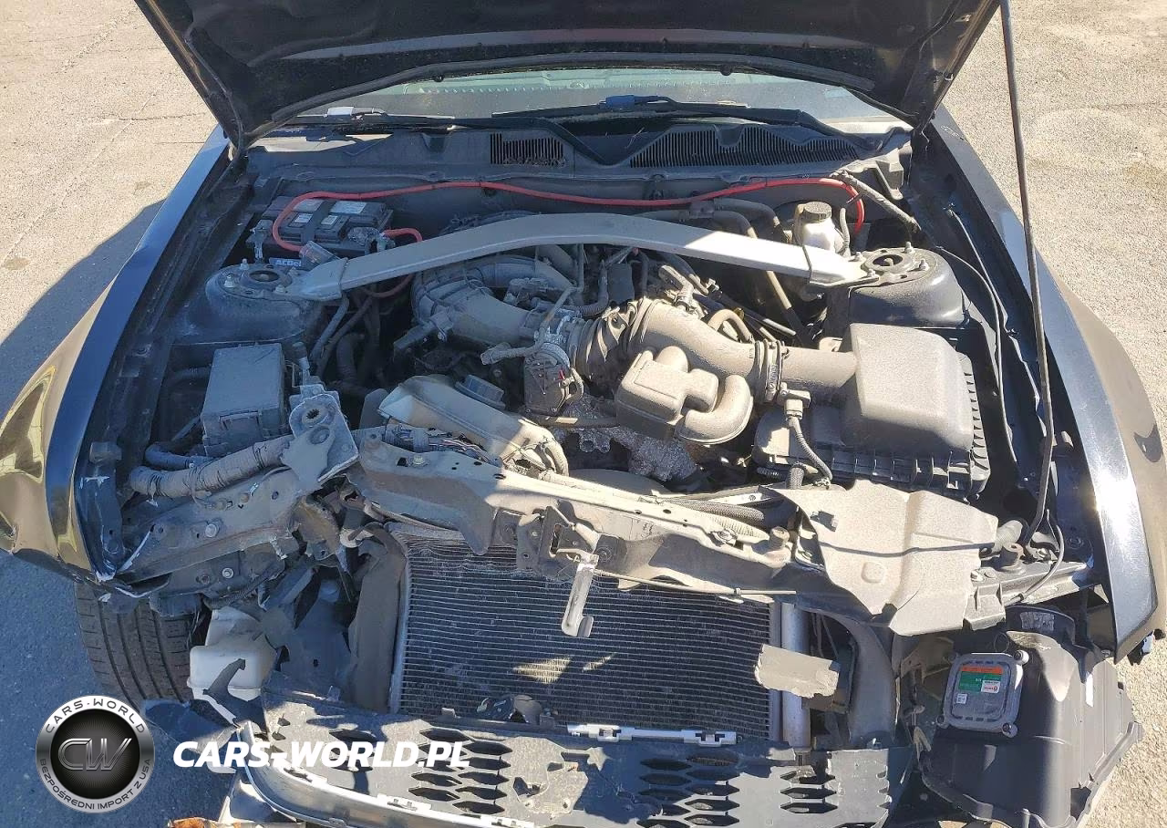 2014 Ford Mustang VIN:1ZVBP8EM1E5307036 - 11