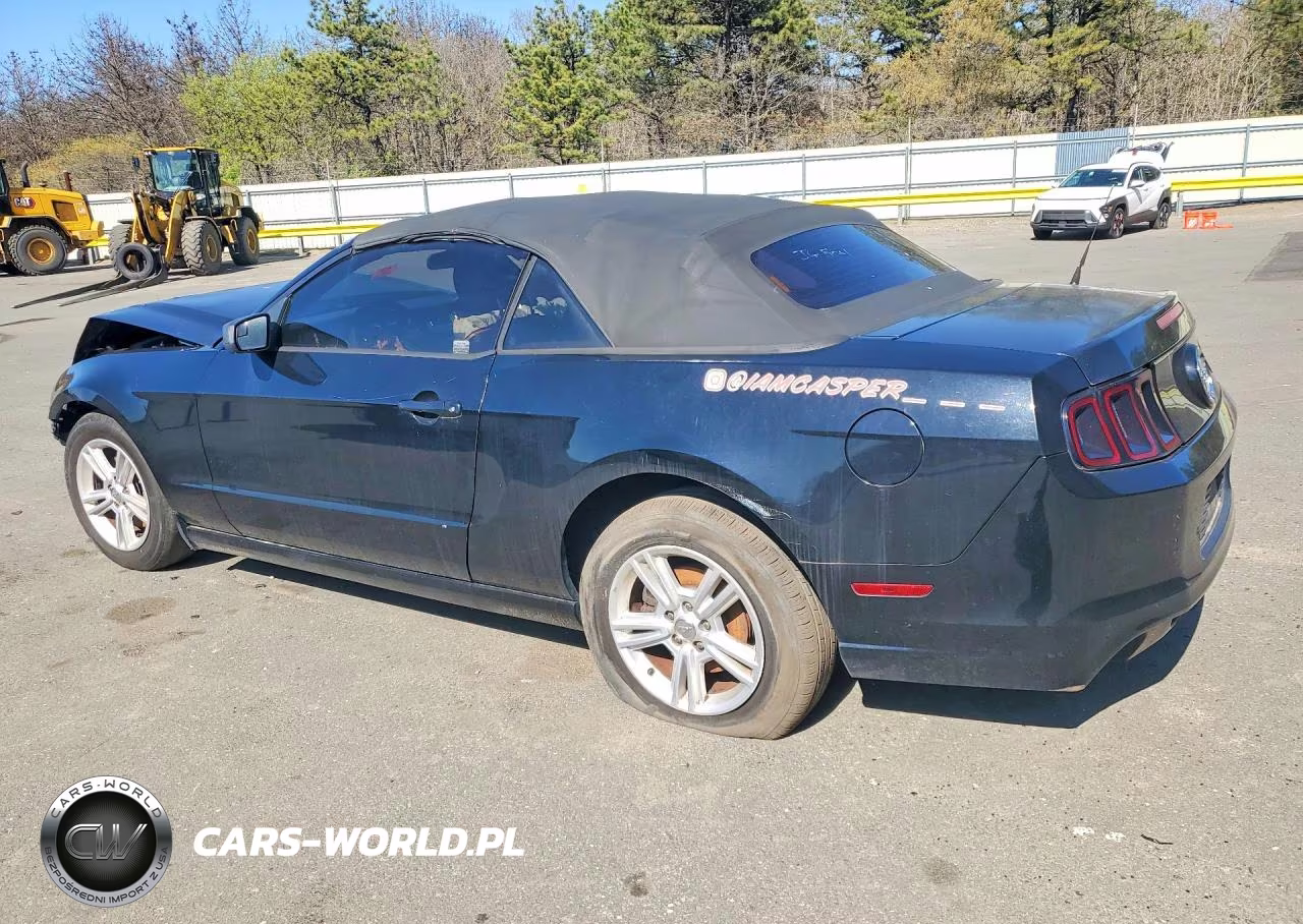 2014 Ford Mustang VIN:1ZVBP8EM1E5307036 - 2