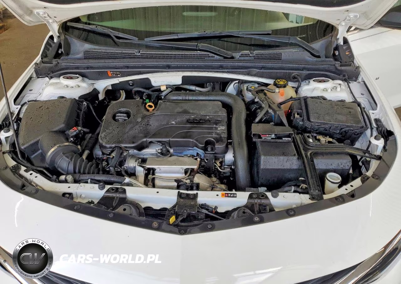 2019 Chevrolet Malibu Ls VIN:1G1ZB5ST6KF122232 - 11