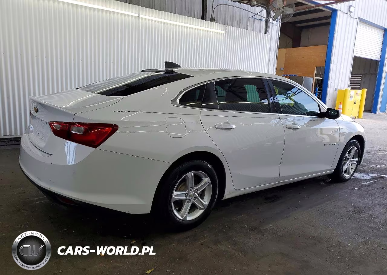 2019 Chevrolet Malibu Ls VIN:1G1ZB5ST6KF122232 - 3