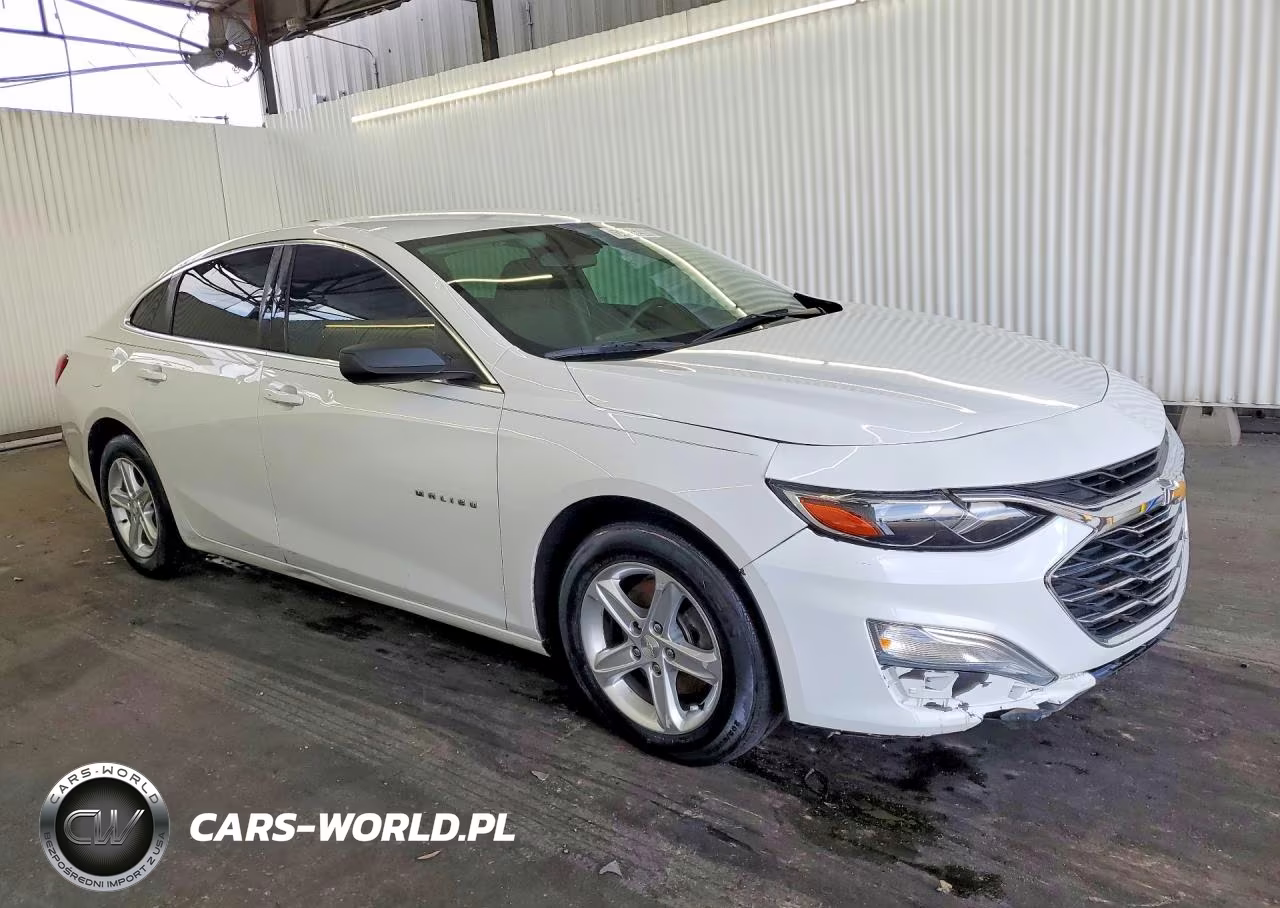 2019 Chevrolet Malibu Ls VIN:1G1ZB5ST6KF122232 - 4