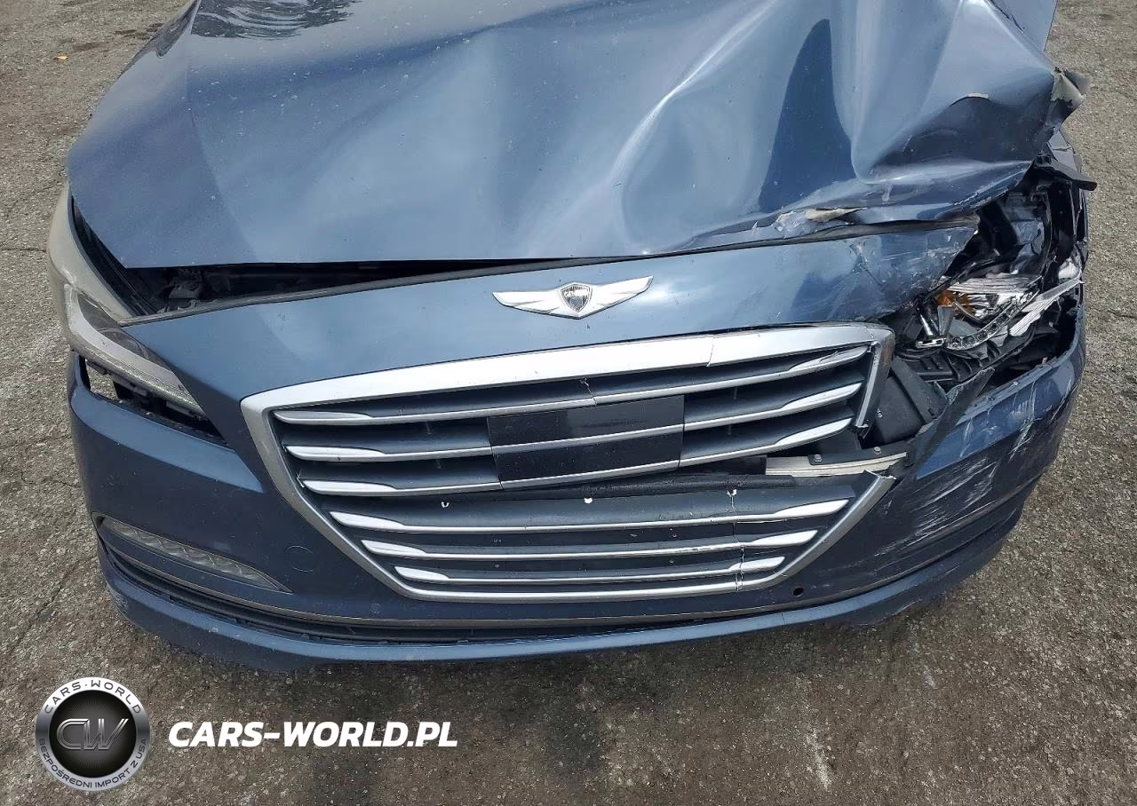 2016 Hyundai Genesis 3.8L VIN:KMHGN4JE4GU111263 - 11