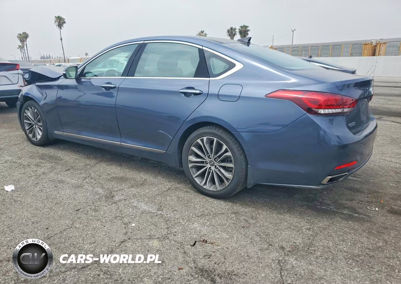 2016 Hyundai Genesis 3.8L VIN:KMHGN4JE4GU111263 - 2