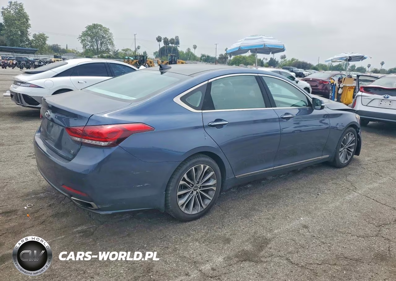 2016 Hyundai Genesis 3.8L VIN:KMHGN4JE4GU111263 - 3