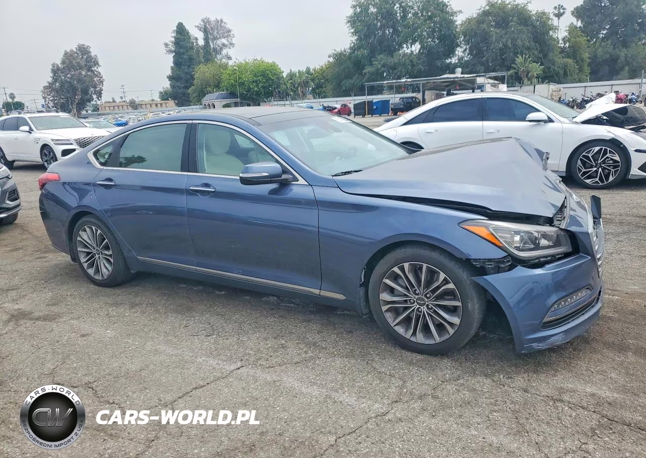 2016 Hyundai Genesis 3.8L VIN:KMHGN4JE4GU111263 - 4