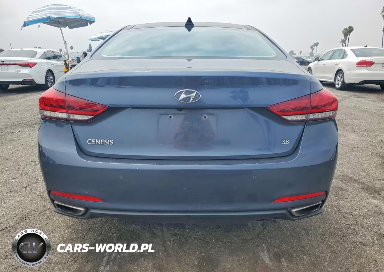 2016 Hyundai Genesis 3.8L VIN:KMHGN4JE4GU111263 - 6