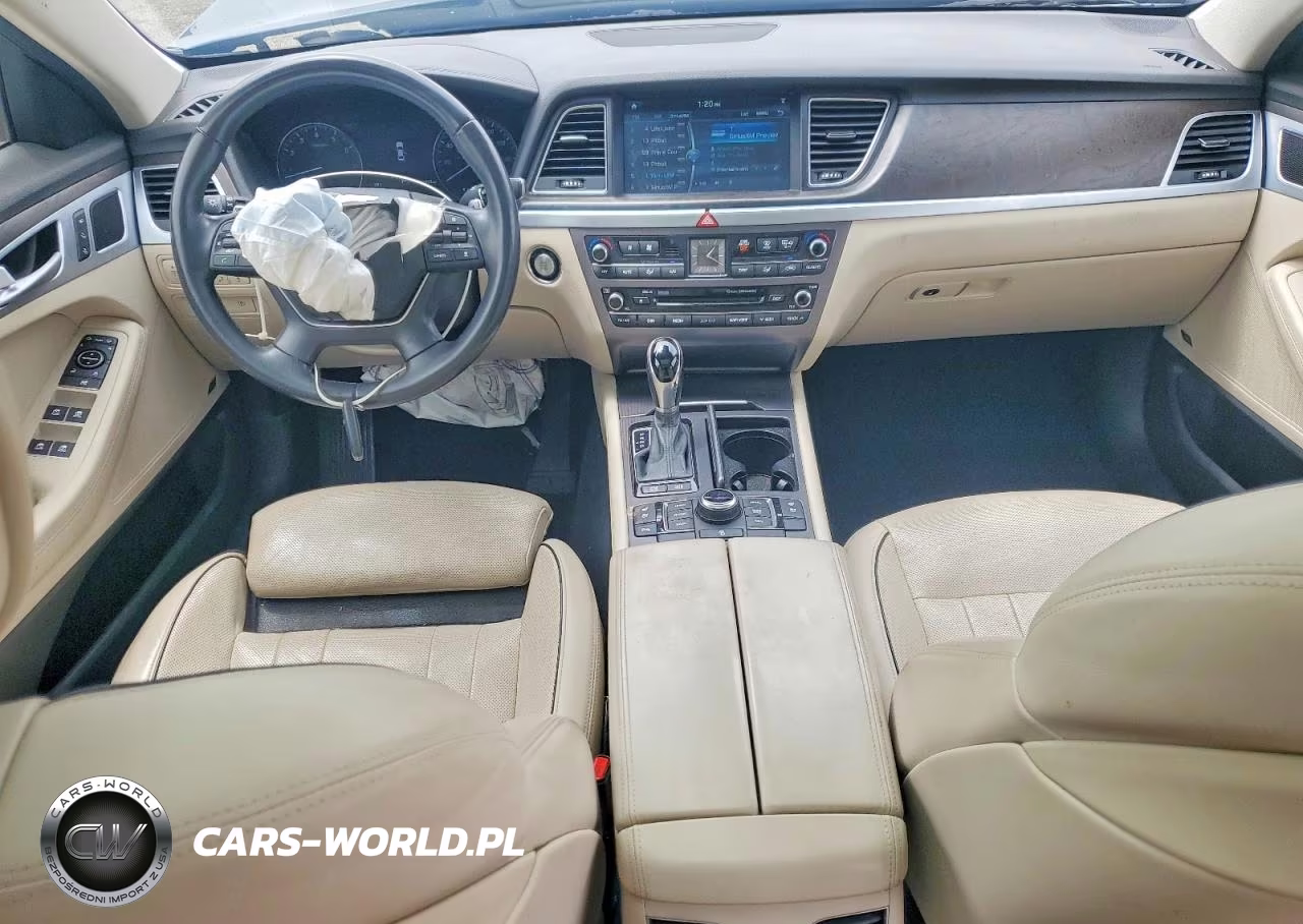 2016 Hyundai Genesis 3.8L VIN:KMHGN4JE4GU111263 - 8