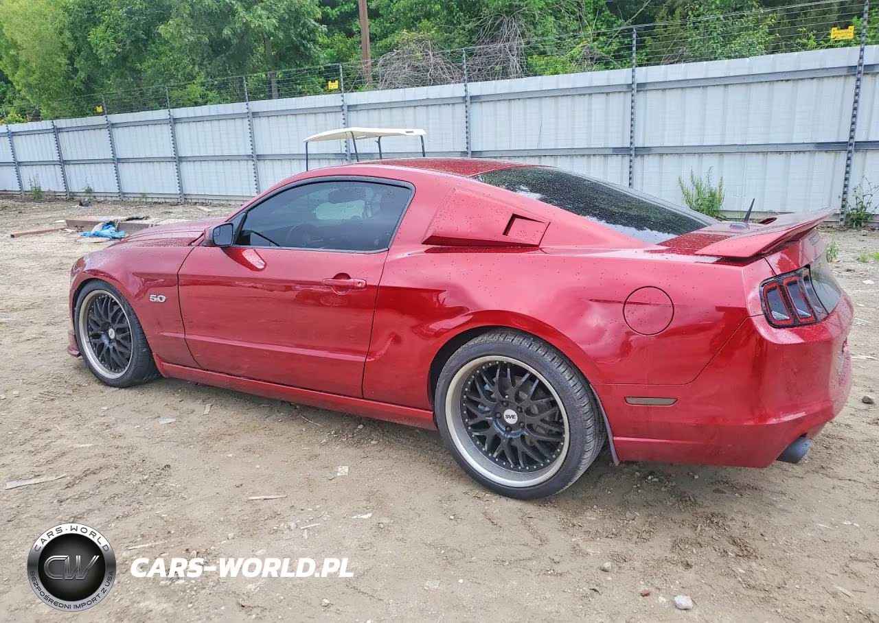 2014 Ford Mustang Gt VIN:1ZVBP8CFXE5239016 - 2