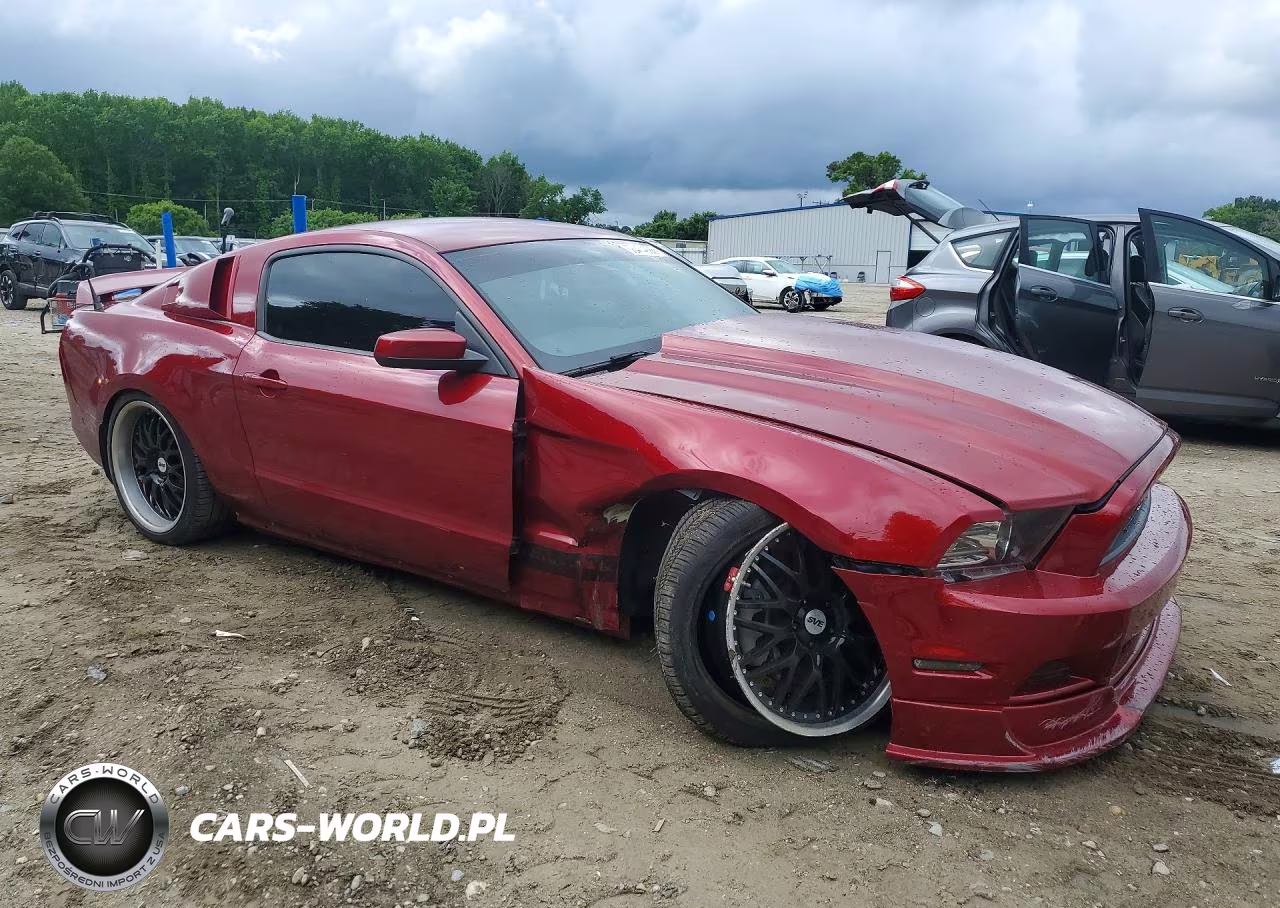 2014 Ford Mustang Gt VIN:1ZVBP8CFXE5239016 - 4