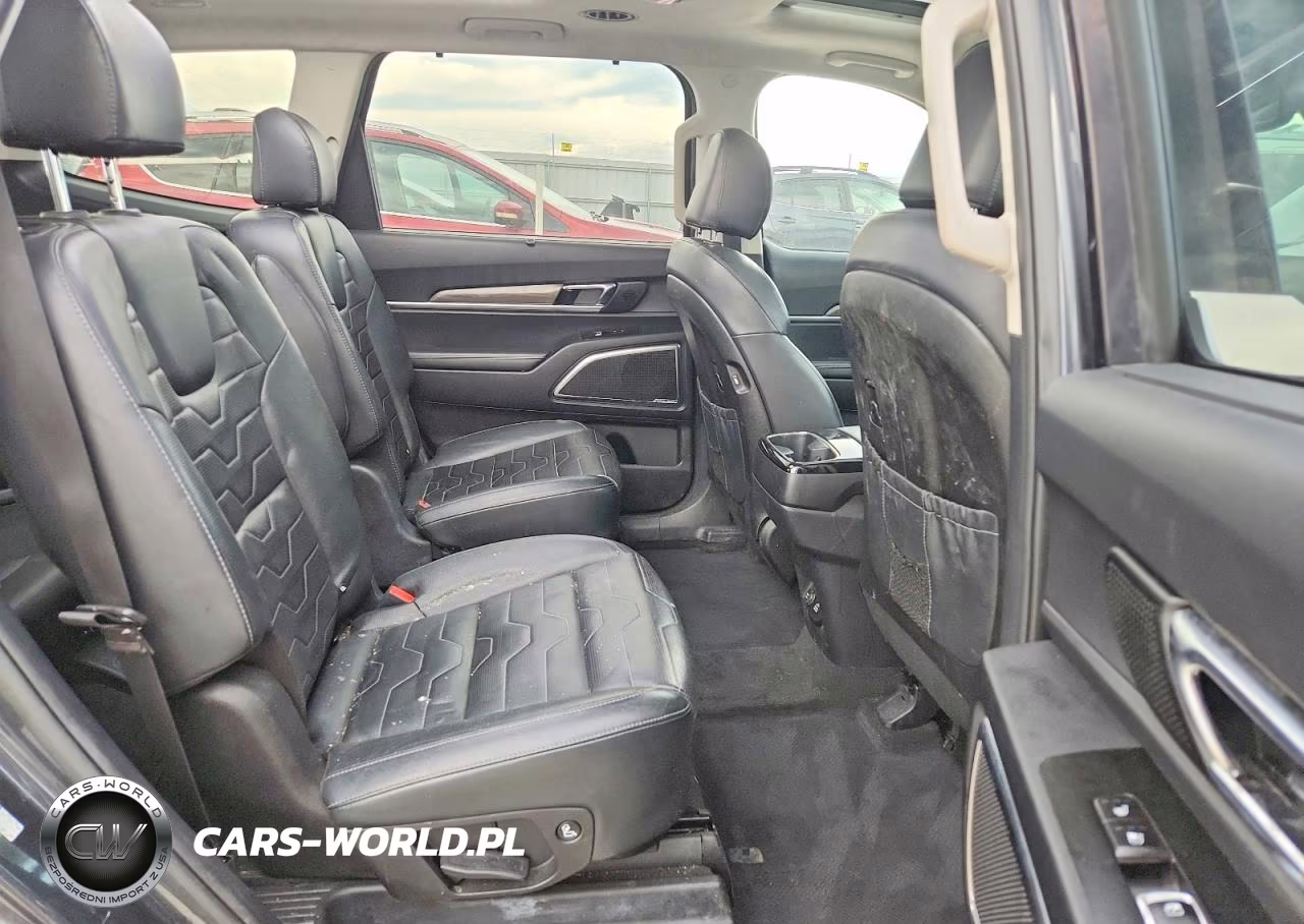 2020 Kia Telluride Sx VIN:5XYP5DHC9LG046334 - 10