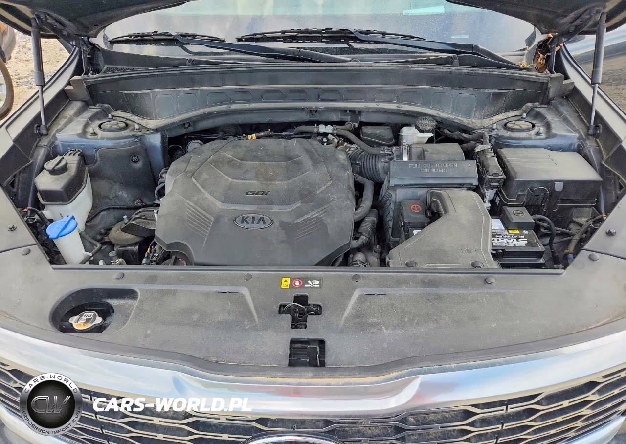 2020 Kia Telluride Sx VIN:5XYP5DHC9LG046334 - 11