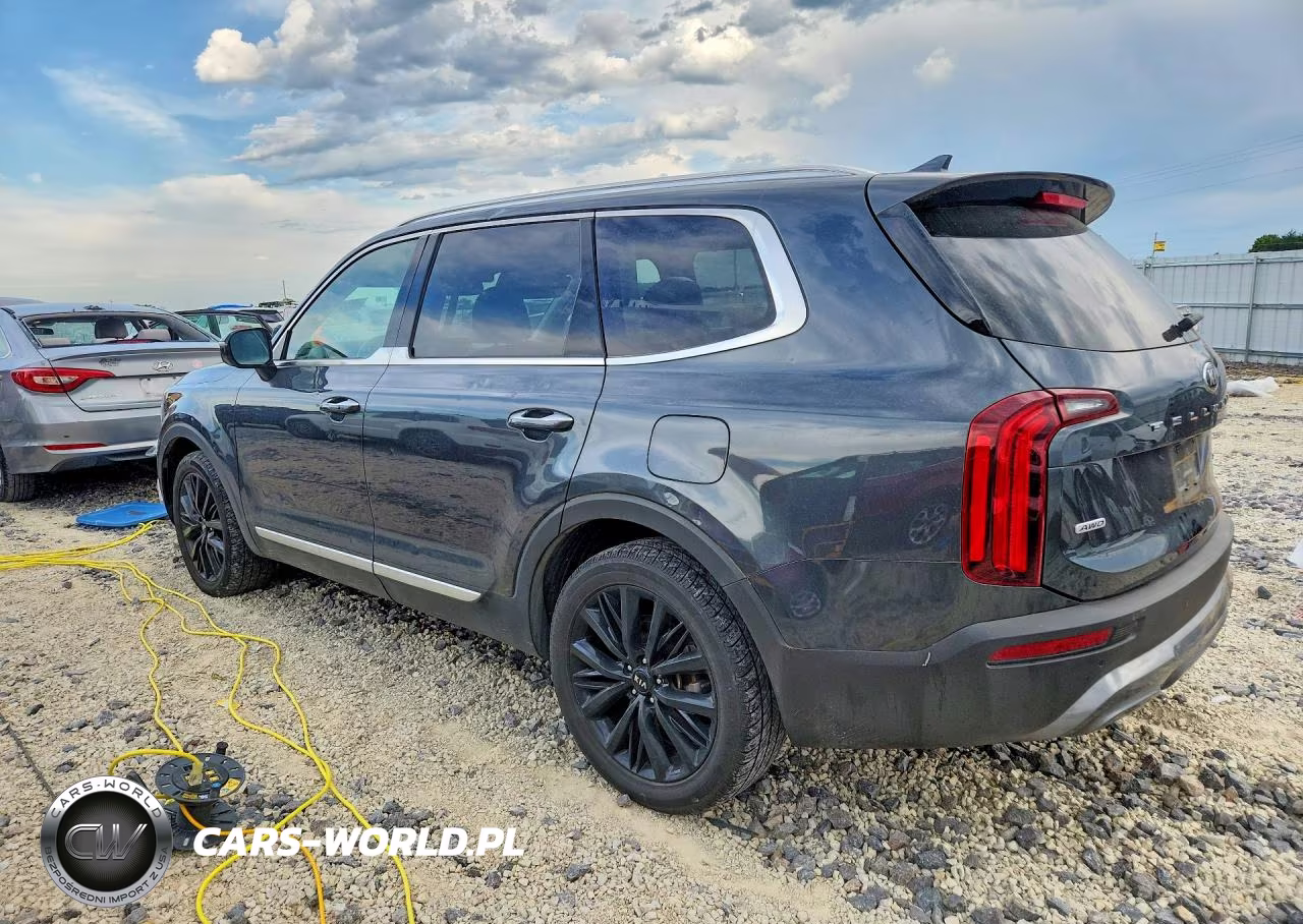 2020 Kia Telluride Sx VIN:5XYP5DHC9LG046334 - 2