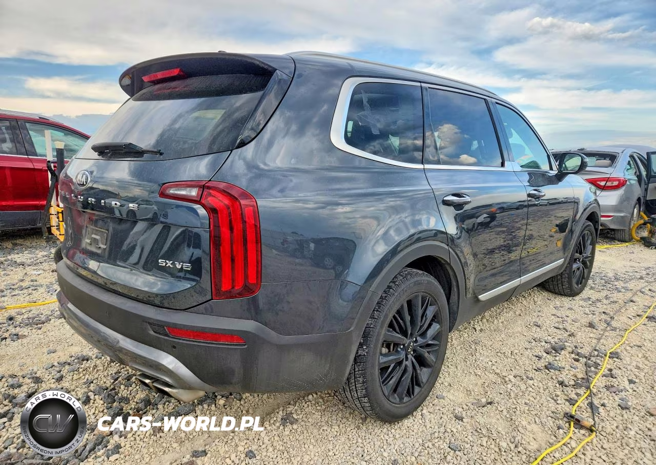 2020 Kia Telluride Sx VIN:5XYP5DHC9LG046334 - 3