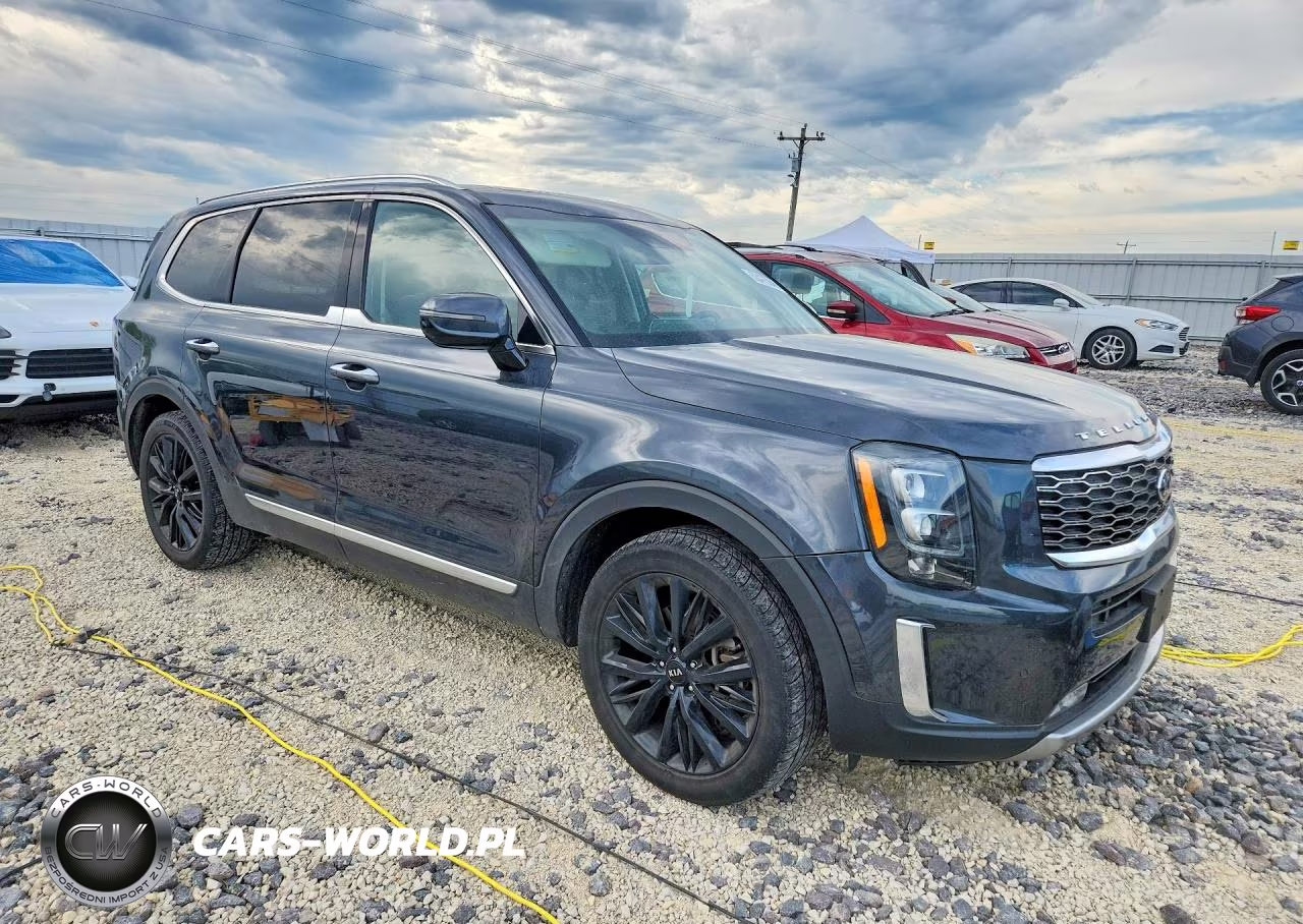 2020 Kia Telluride Sx VIN:5XYP5DHC9LG046334 - 4