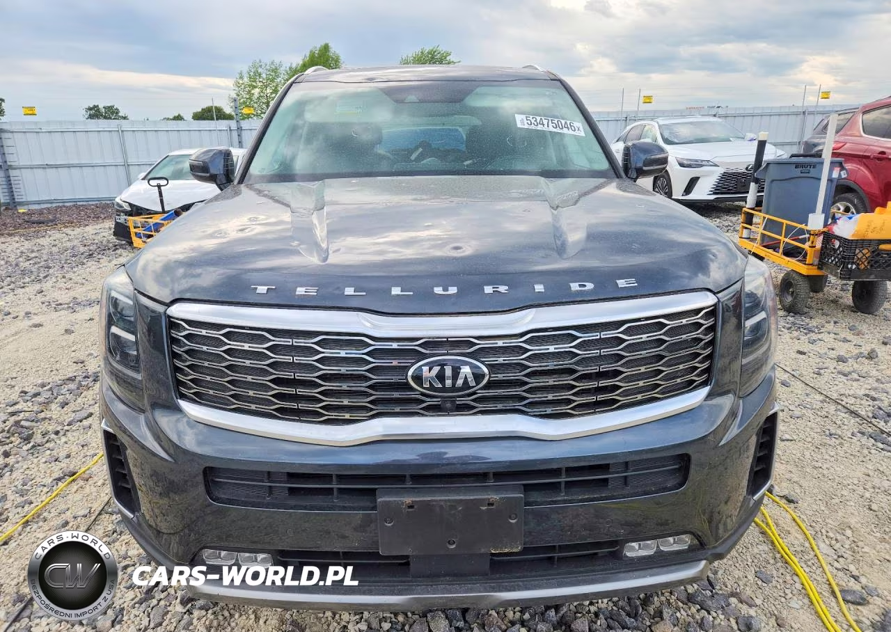 2020 Kia Telluride Sx VIN:5XYP5DHC9LG046334 - 5