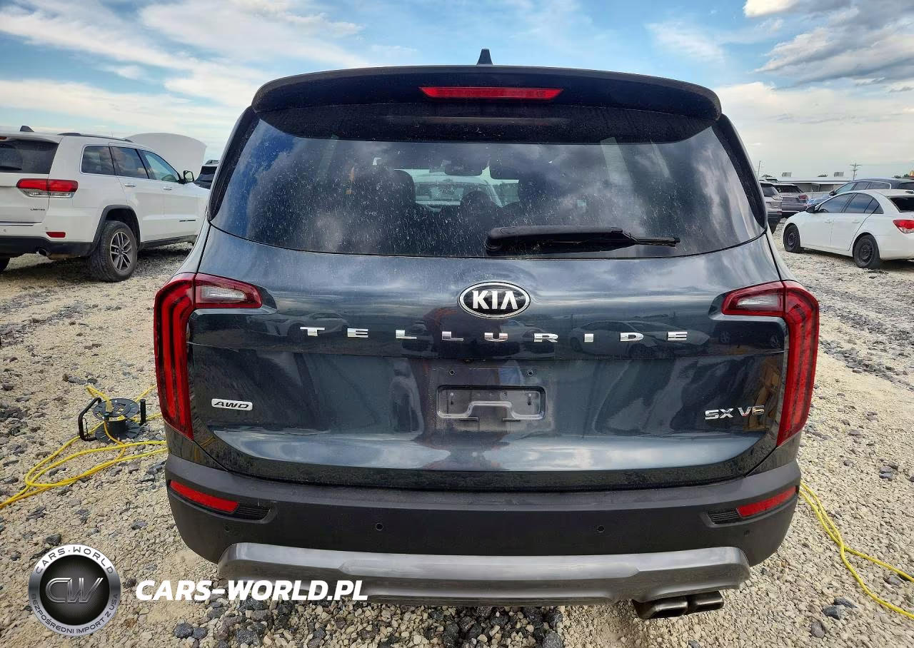 2020 Kia Telluride Sx VIN:5XYP5DHC9LG046334 - 6