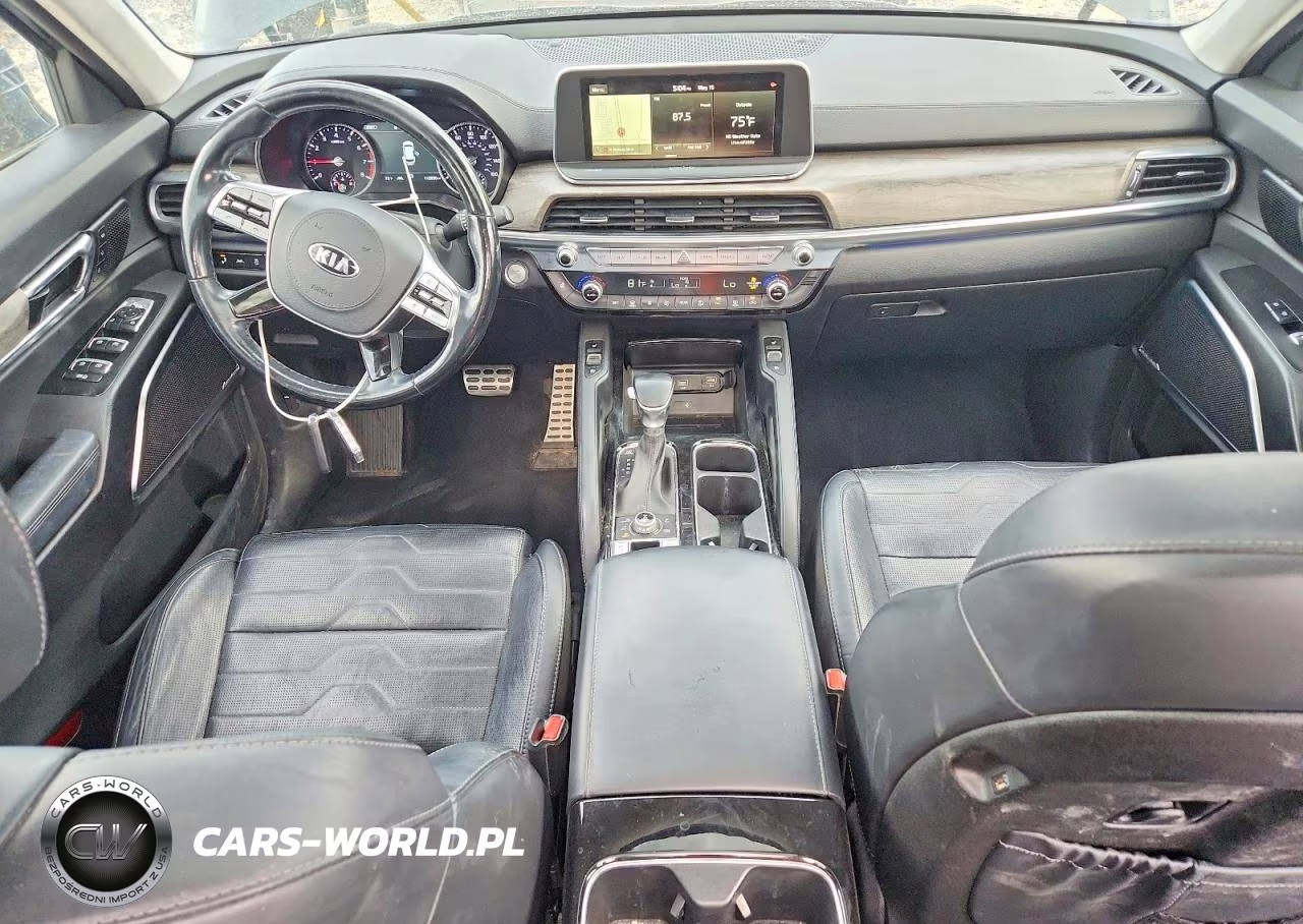 2020 Kia Telluride Sx VIN:5XYP5DHC9LG046334 - 8