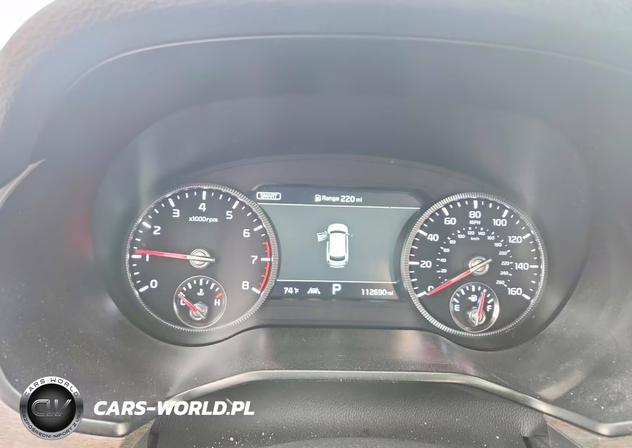 2020 Kia Telluride Sx VIN:5XYP5DHC9LG046334 - 9