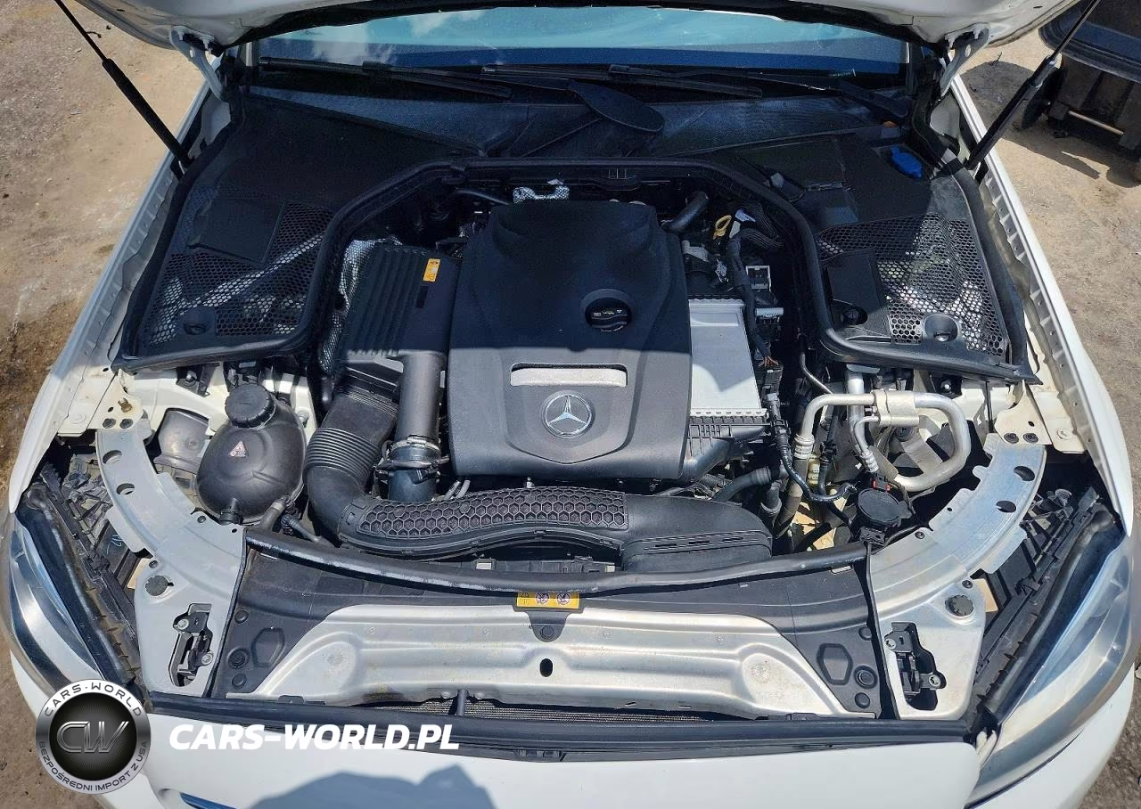 2018 Mercedes-Benz C 300 VIN:55SWF4JB6JU273848 - 11