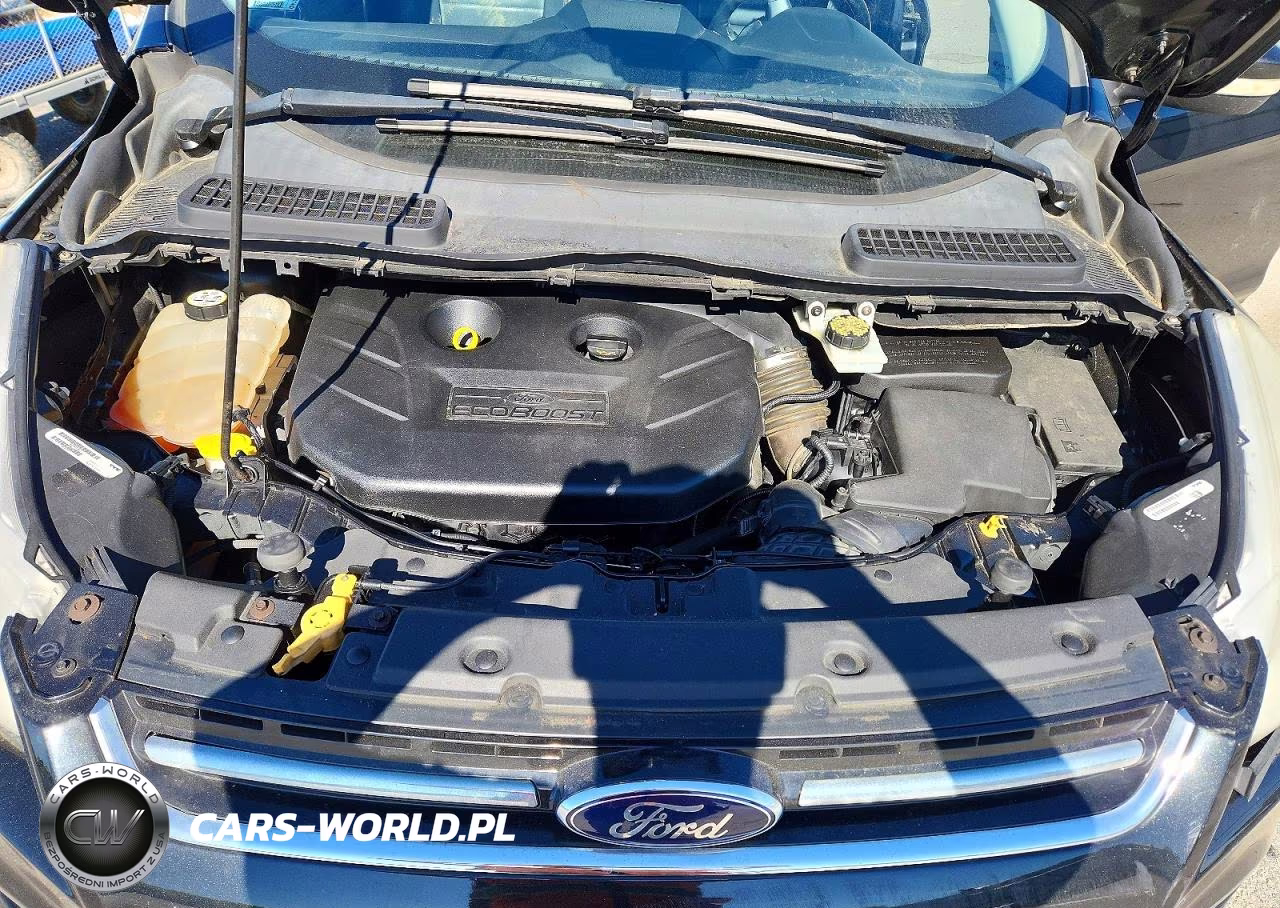 2013 Ford Escape Sel VIN:1FMCU9H99DUB27722 - 12