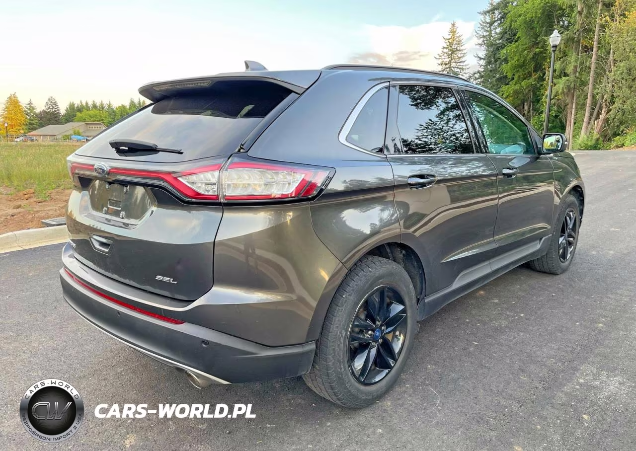 2016 Ford Edge Sel VIN:2FMPK3J81GBB95299 - 4
