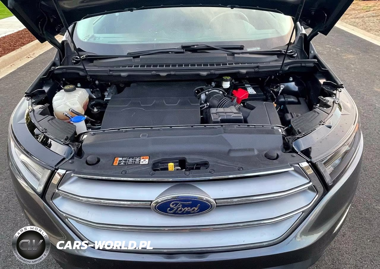 2016 Ford Edge Sel VIN:2FMPK3J81GBB95299 - 7