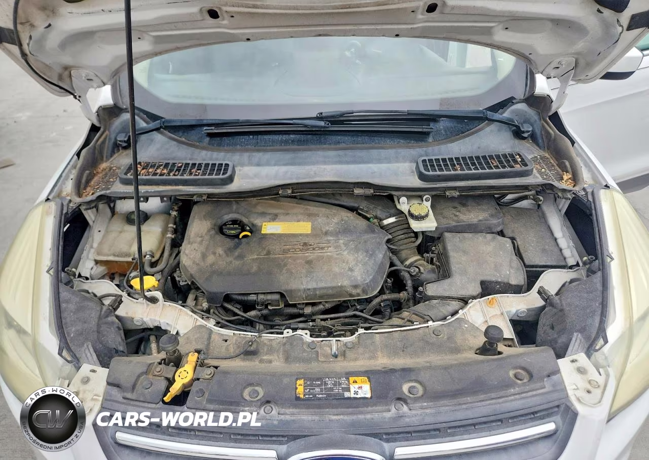 2014 Ford Escape Se VIN:1FMCU0GX2EUA21786 - 12
