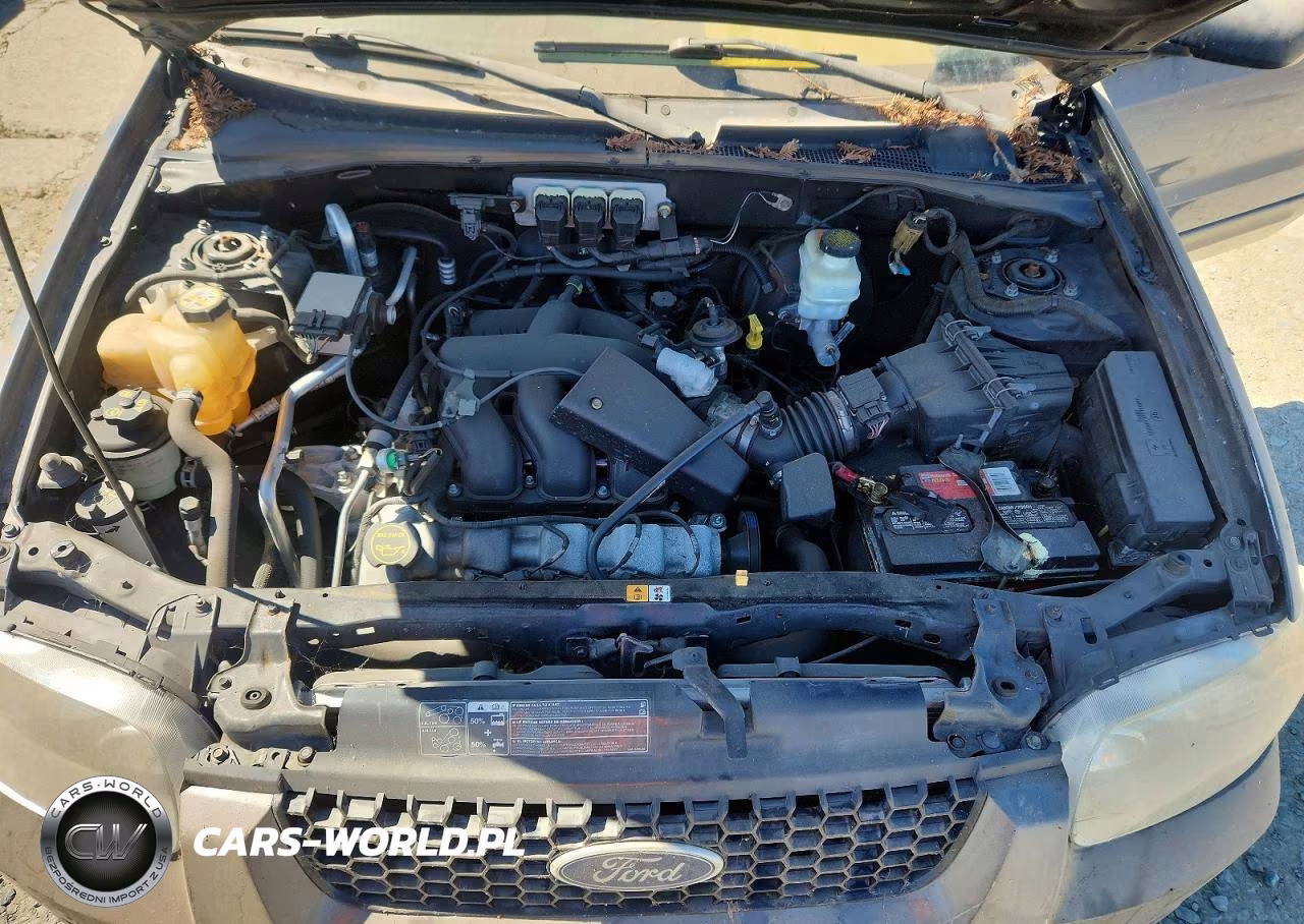 2006 Ford Escape Xlt VIN:1FMCU93176KB00390 - 12