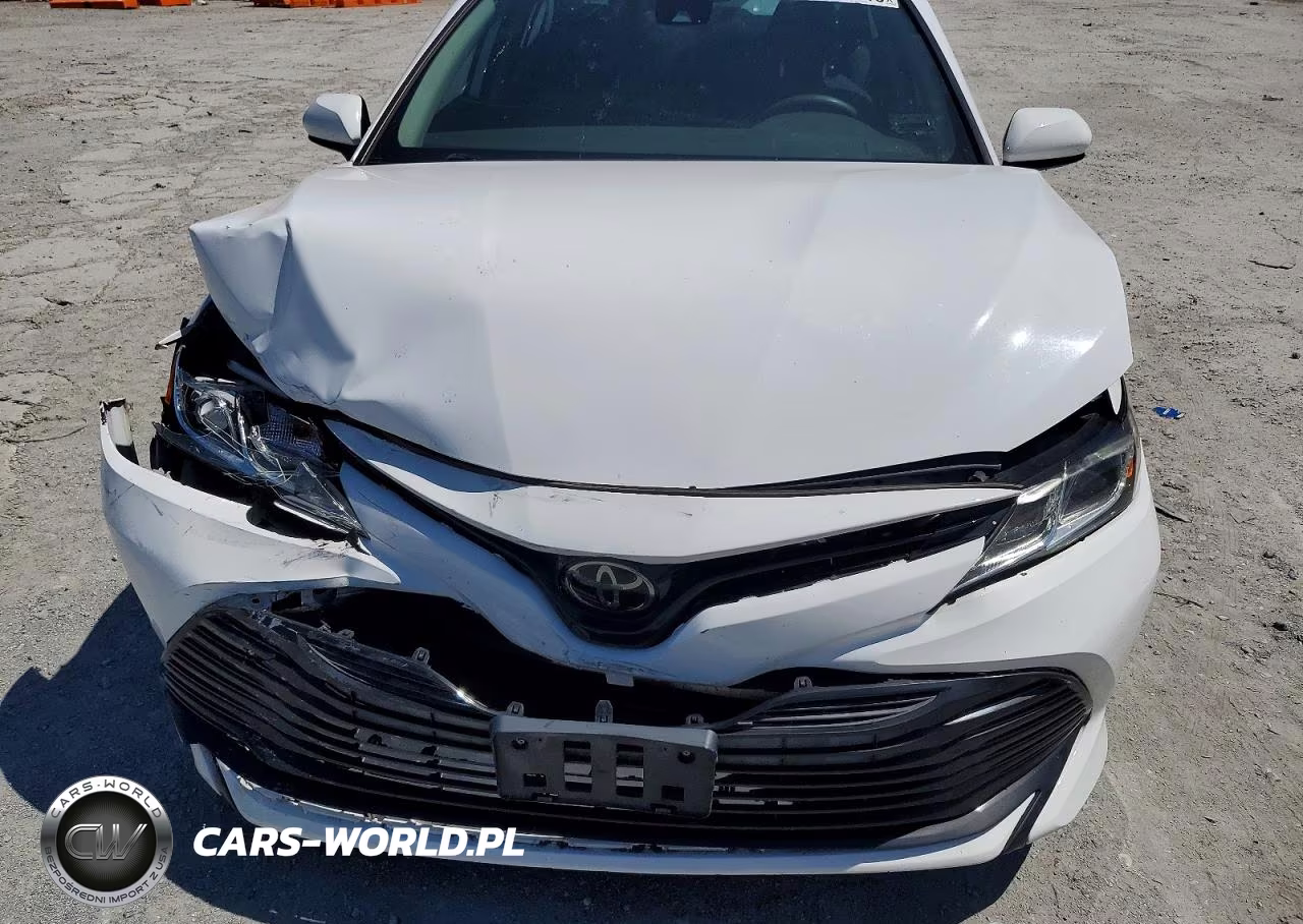 2019 Toyota Camry Le VIN:4T1B11HKXKU780131 - 11