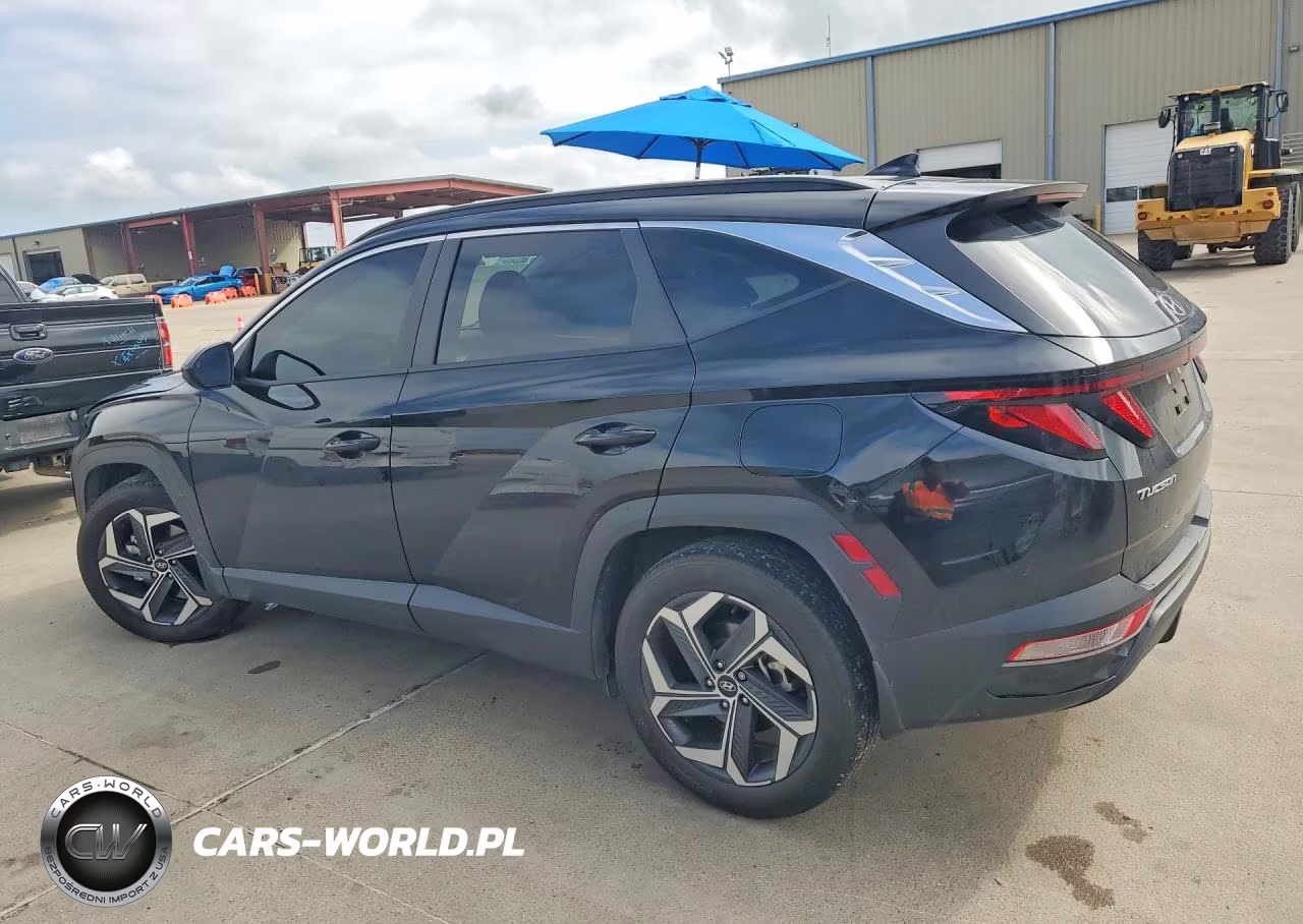 2024 Hyundai Tucson Sel VIN:5NMJB3DE1RH423611 - 2