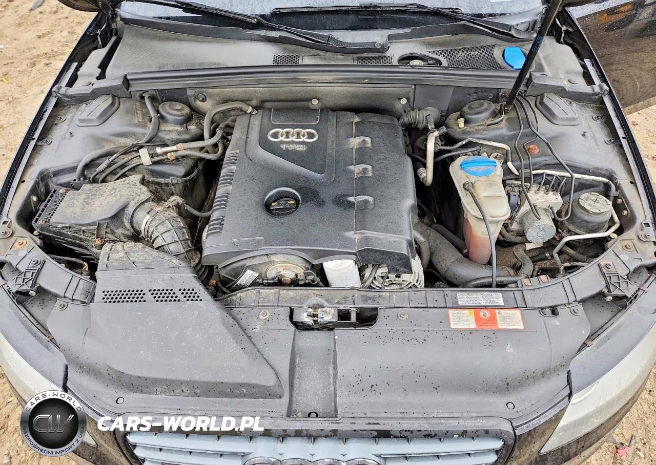 2010 Audi A4 Premium VIN:WAUSFAFL8AA132124 - 11