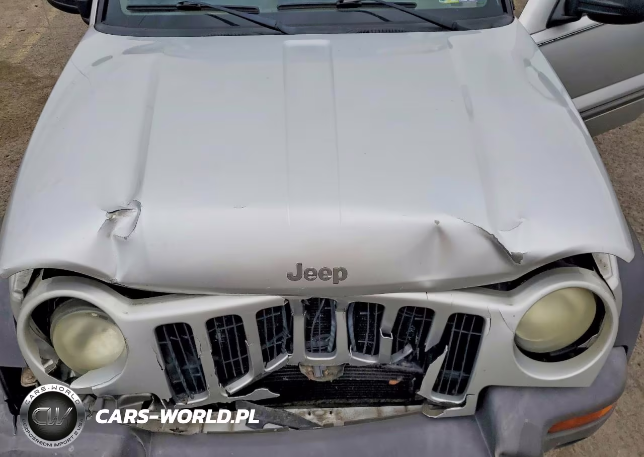 2004 Jeep Liberty Sport VIN:1J4GL48K34W175679 - 12