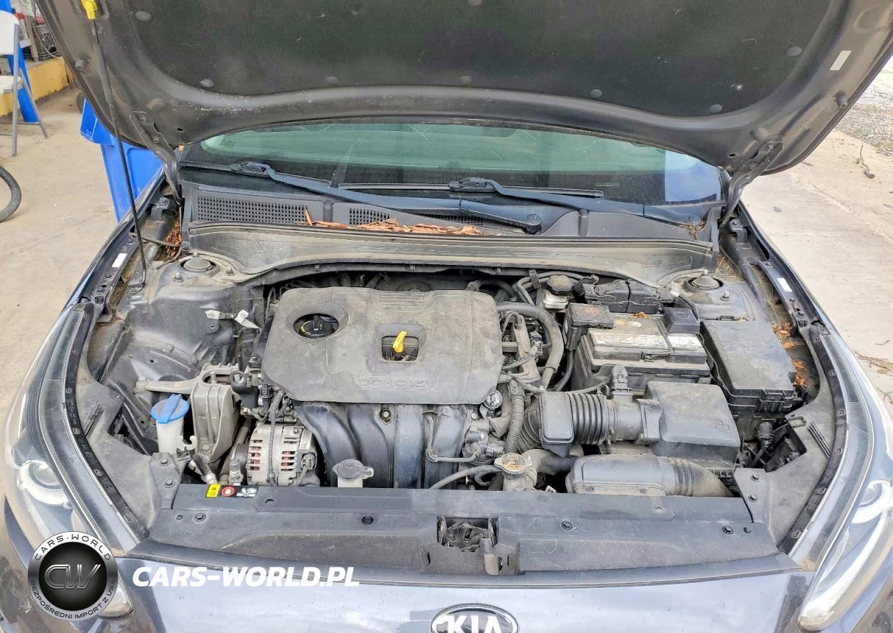 2019 Kia Forte Lxs VIN:3KPF24AD4KE051847 - 11