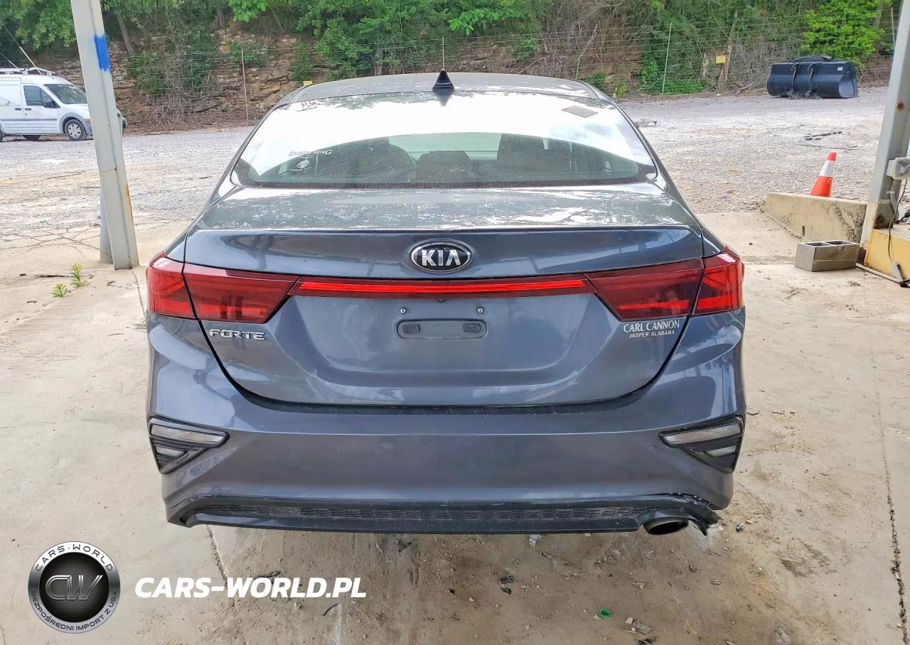 2019 Kia Forte Lxs VIN:3KPF24AD4KE051847 - 6