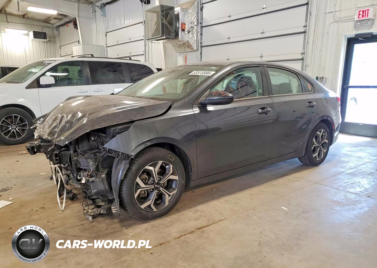 2019 Kia Forte Lxs
