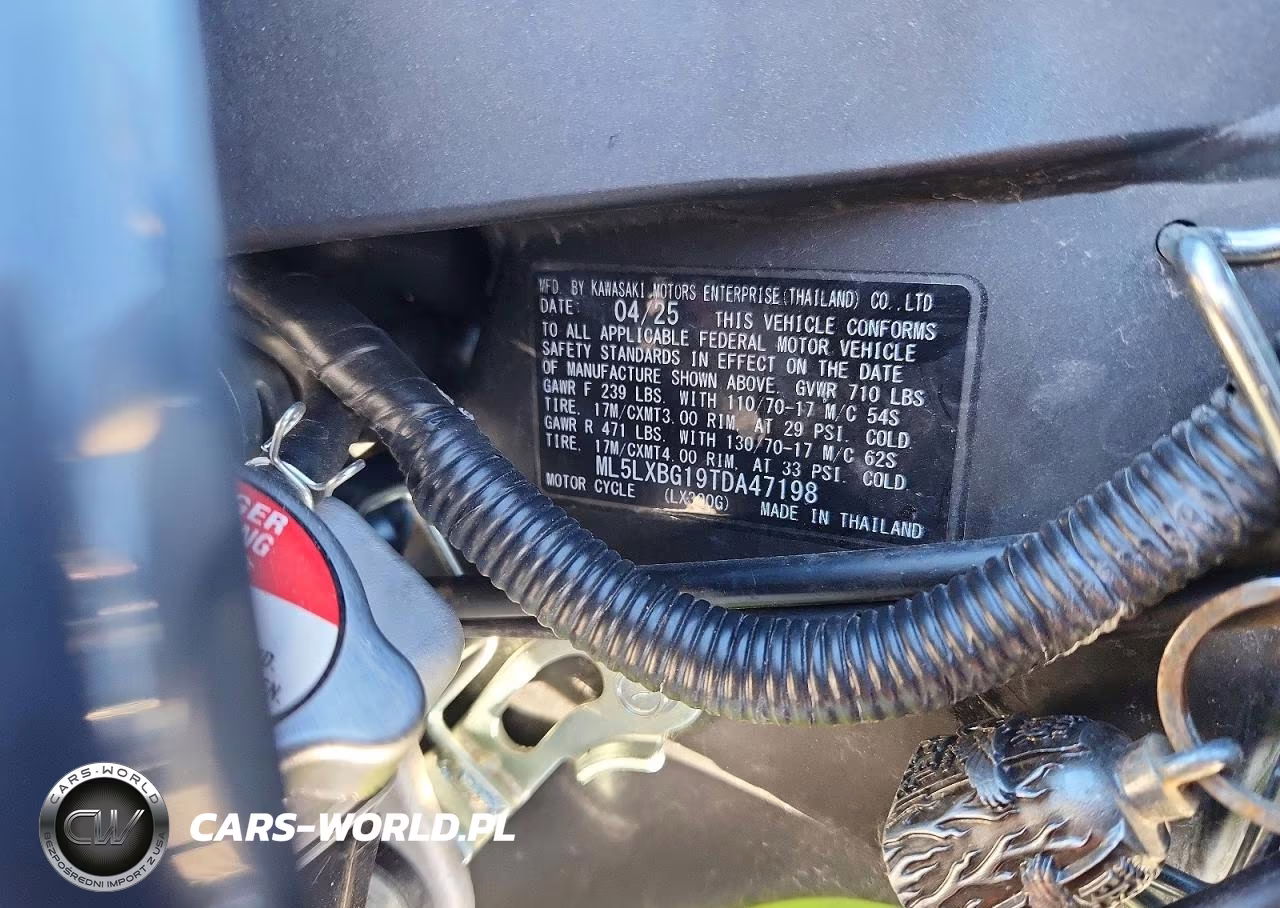 2026 Kawasaki Klx300 S VIN:ML5LXBG19TDA47198 - 9