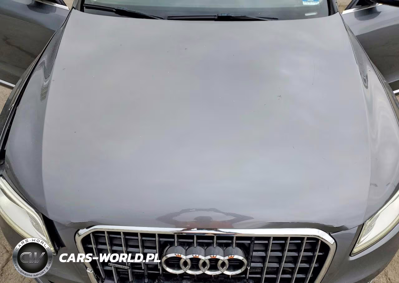 2016 Audi Q5 Premium Plus VIN:WA1L2AFPXGA105774 - 12