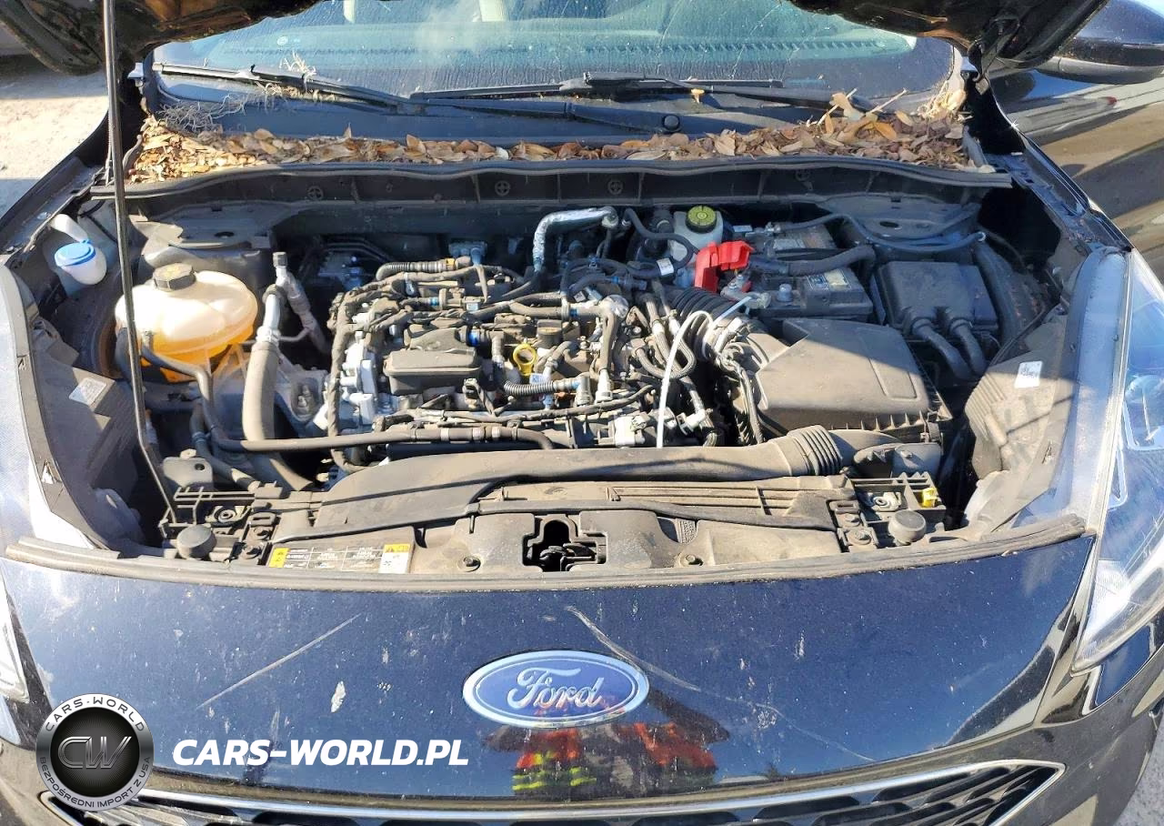 2021 Ford Escape Se VIN:1FMCU0G62MUA98437 - 12