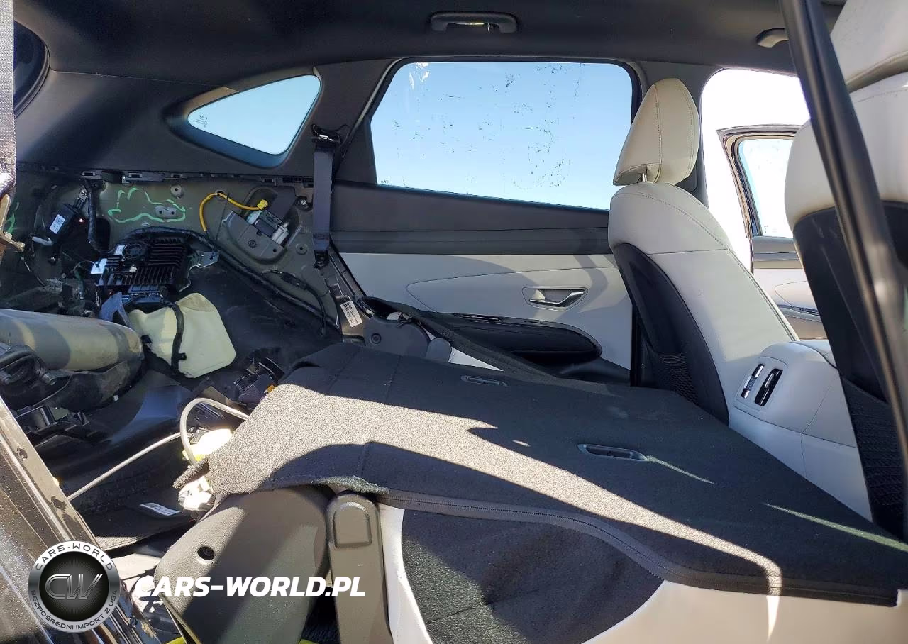 2025 Hyundai Tucson Limited VIN:5NMJECDE4SH564444 - 11