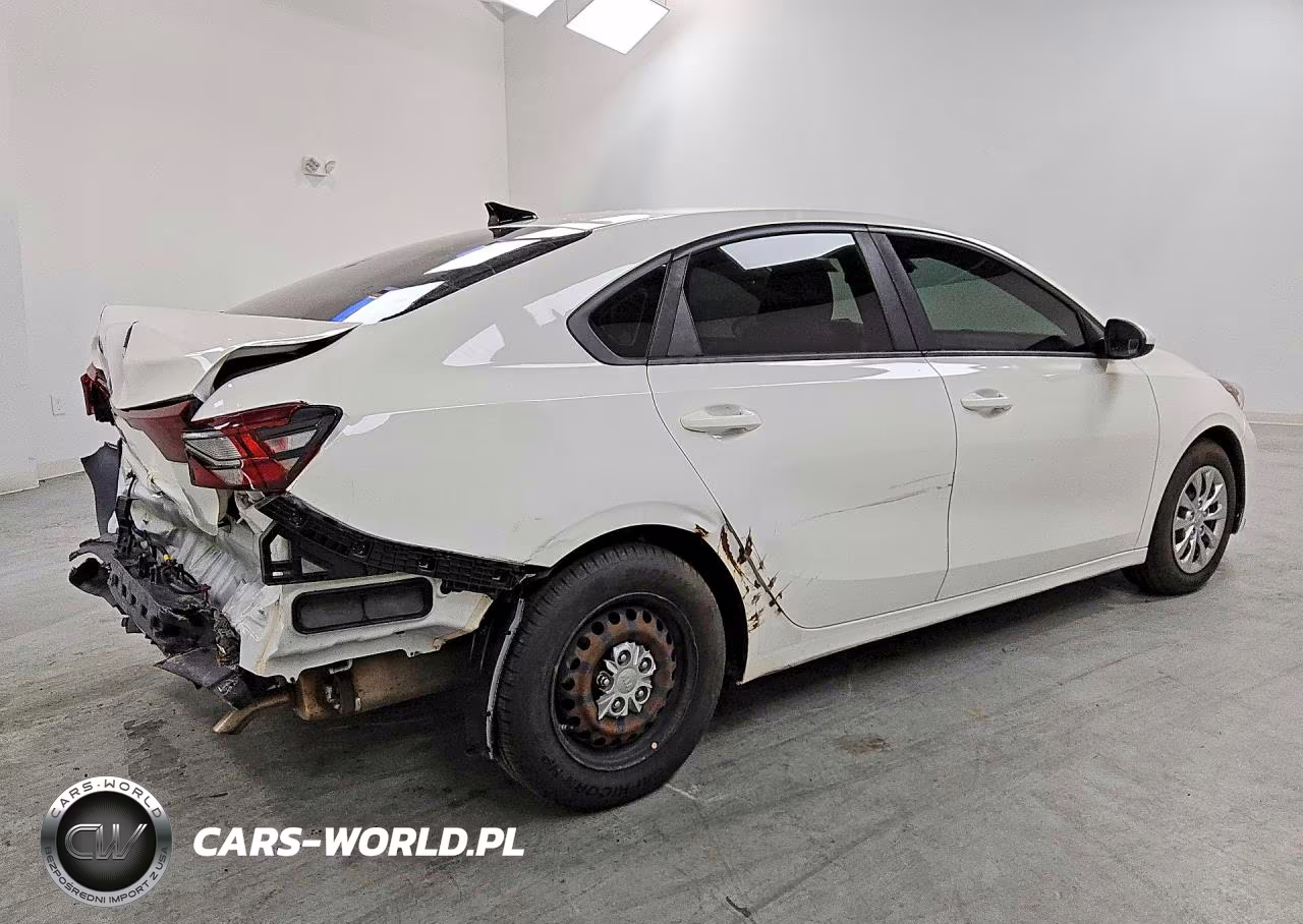 2020 Kia Forte Fe VIN:3KPF24AD8LE190817 - 3