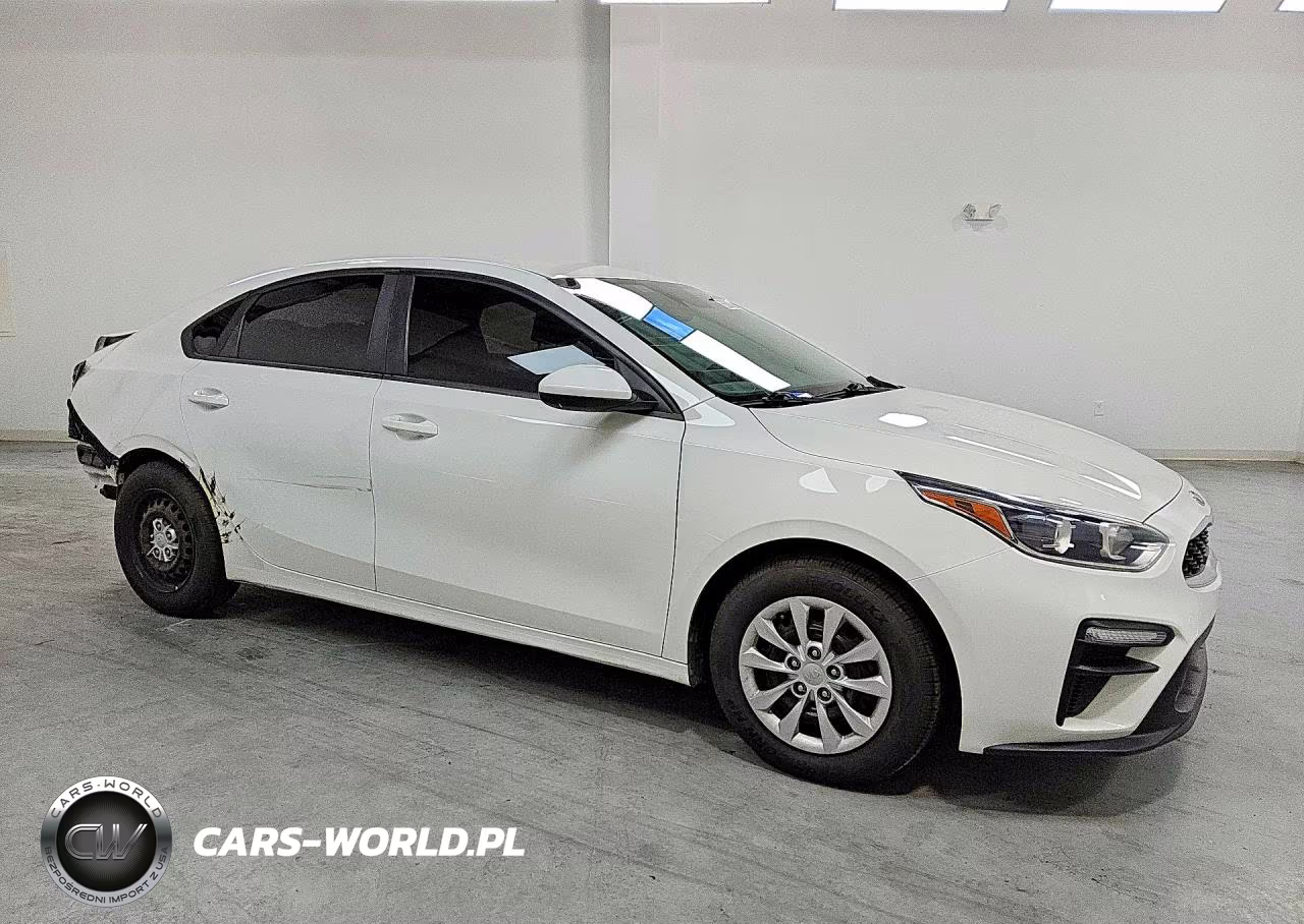 2020 Kia Forte Fe VIN:3KPF24AD8LE190817 - 4