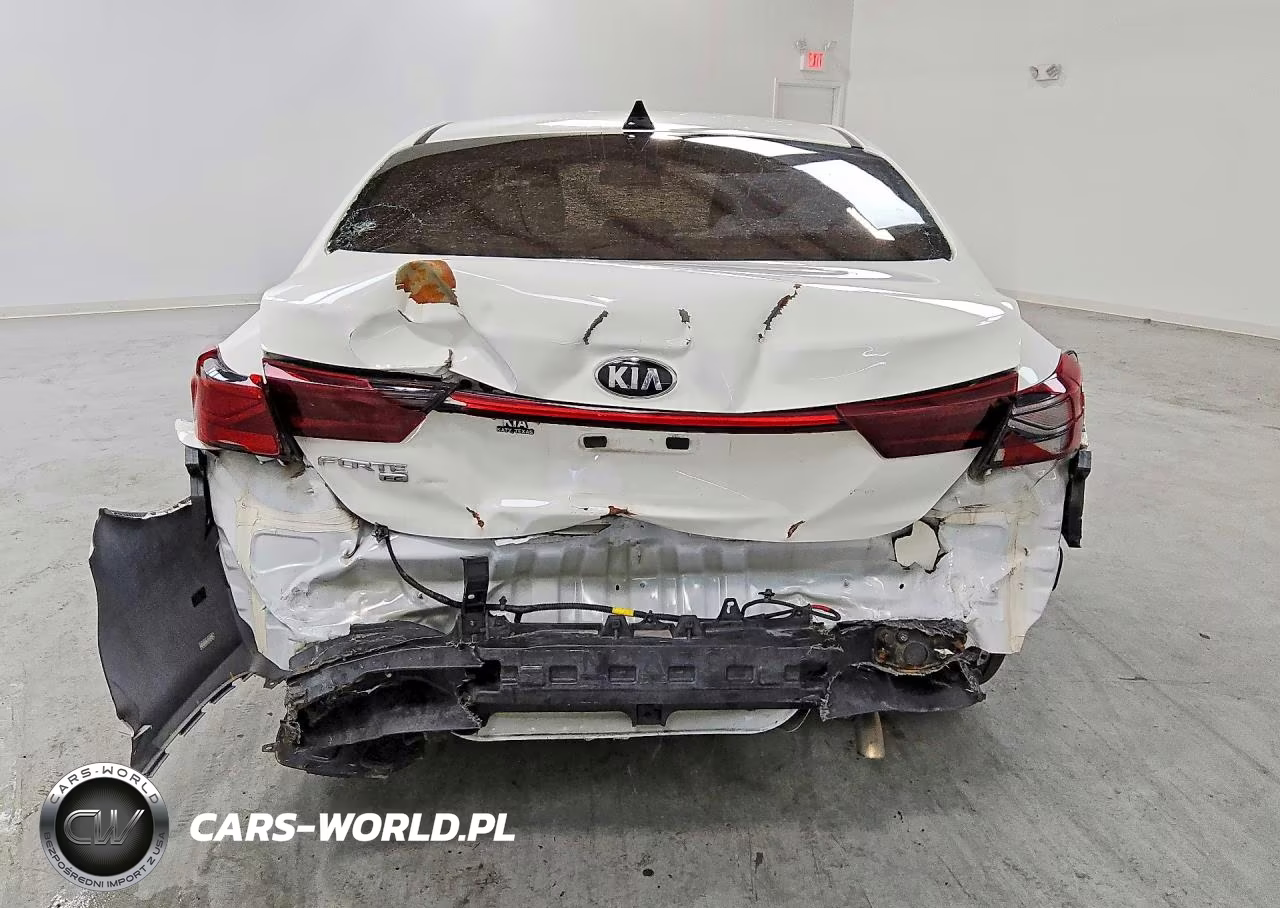 2020 Kia Forte Fe VIN:3KPF24AD8LE190817 - 6