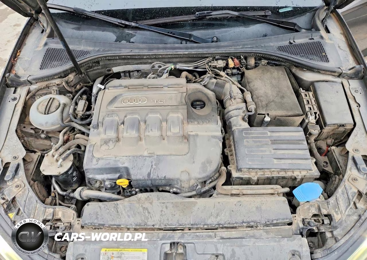 2015 Audi A3 Premium Plus VIN:WAUCJGFF7F1071906 - 11
