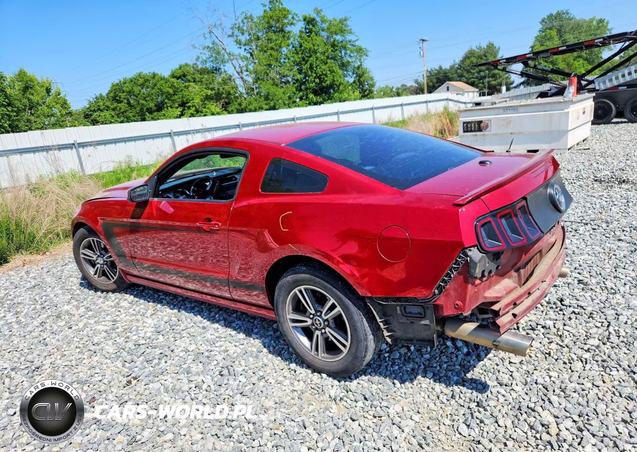 2013 Ford Mustang VIN:1ZVBP8AM4D5204309 - 2
