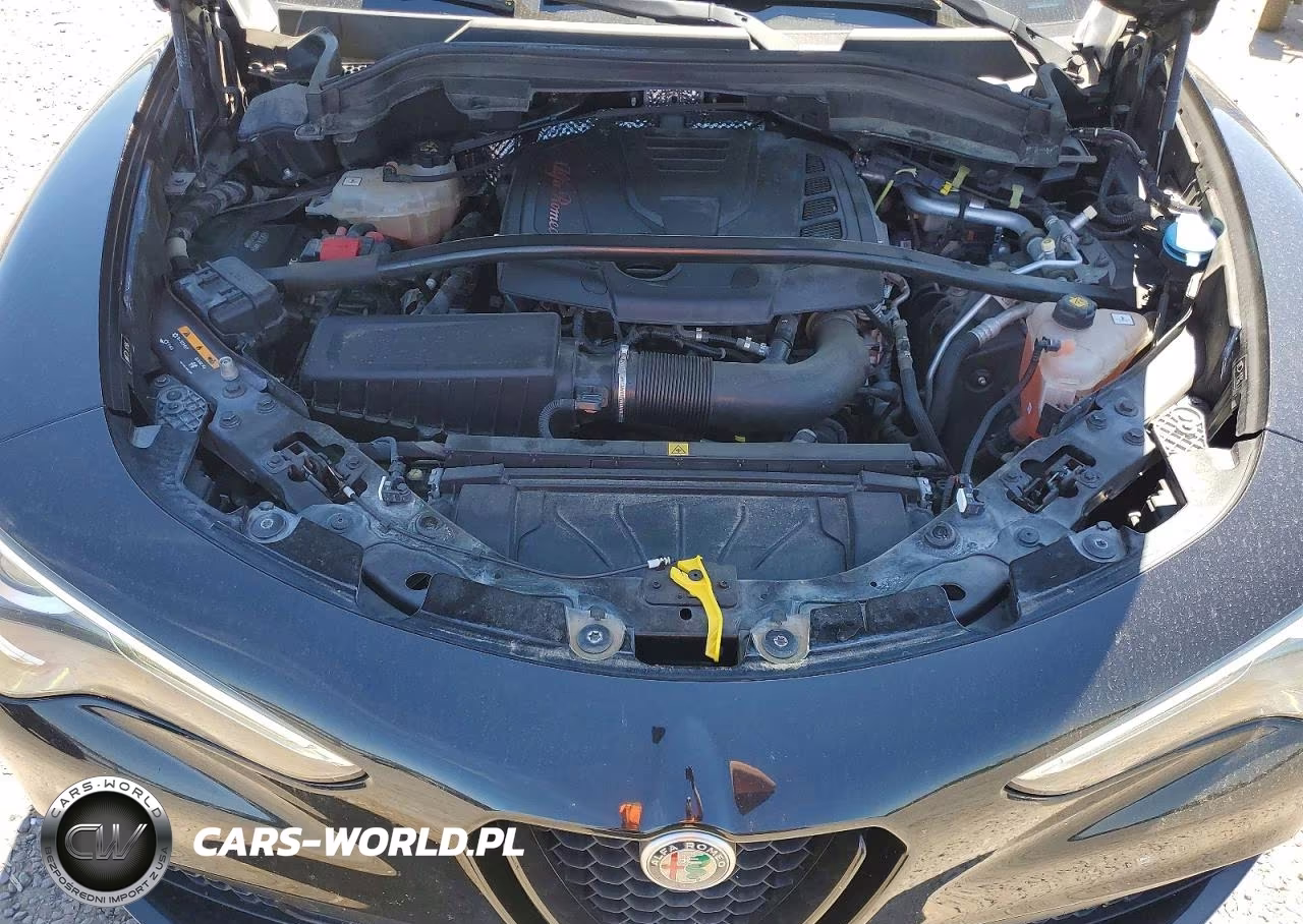 2019 Alfa Romeo Stelvio VIN:ZASPAJAN1K7C71002 - 12