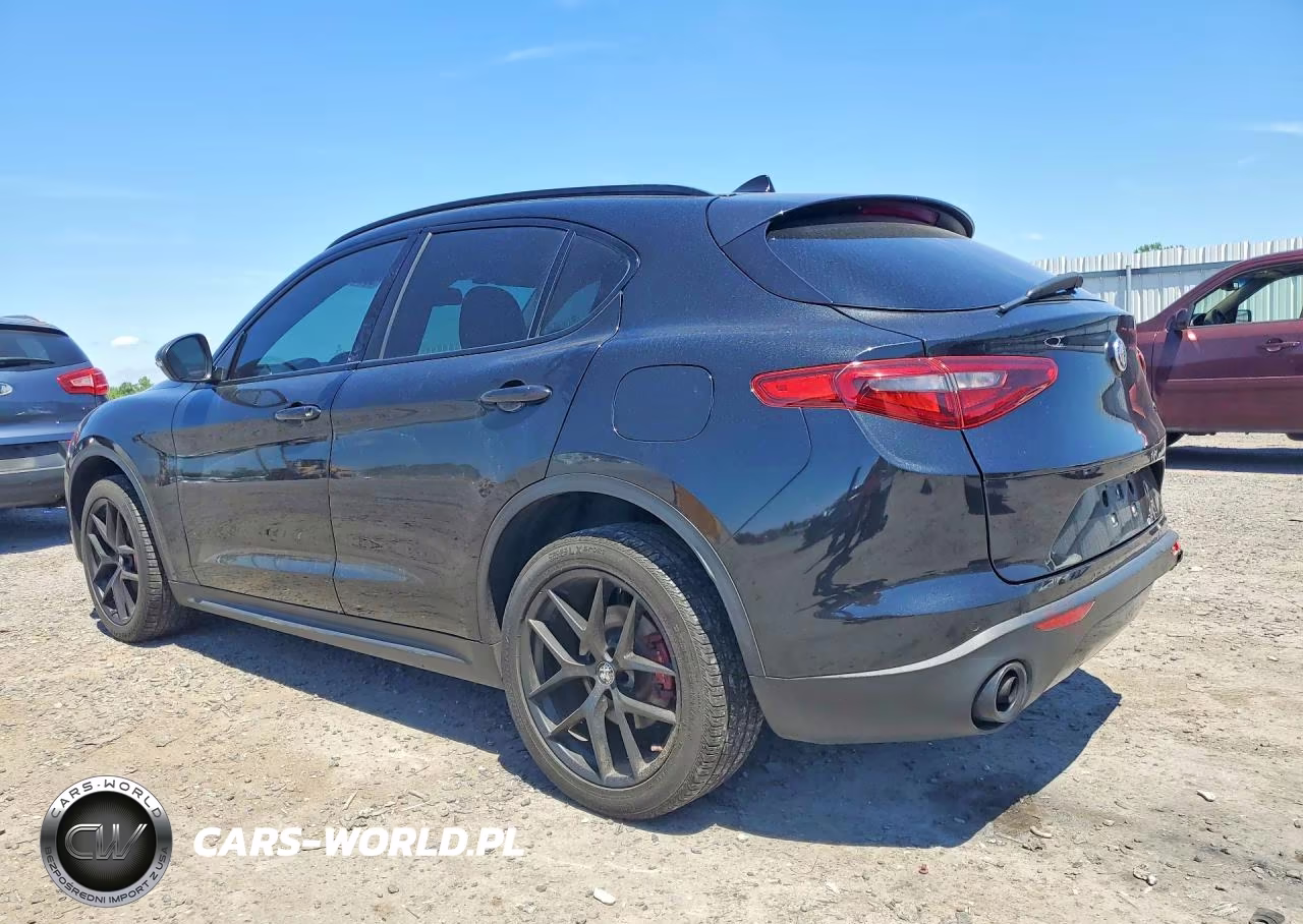 2019 Alfa Romeo Stelvio VIN:ZASPAJAN1K7C71002 - 2