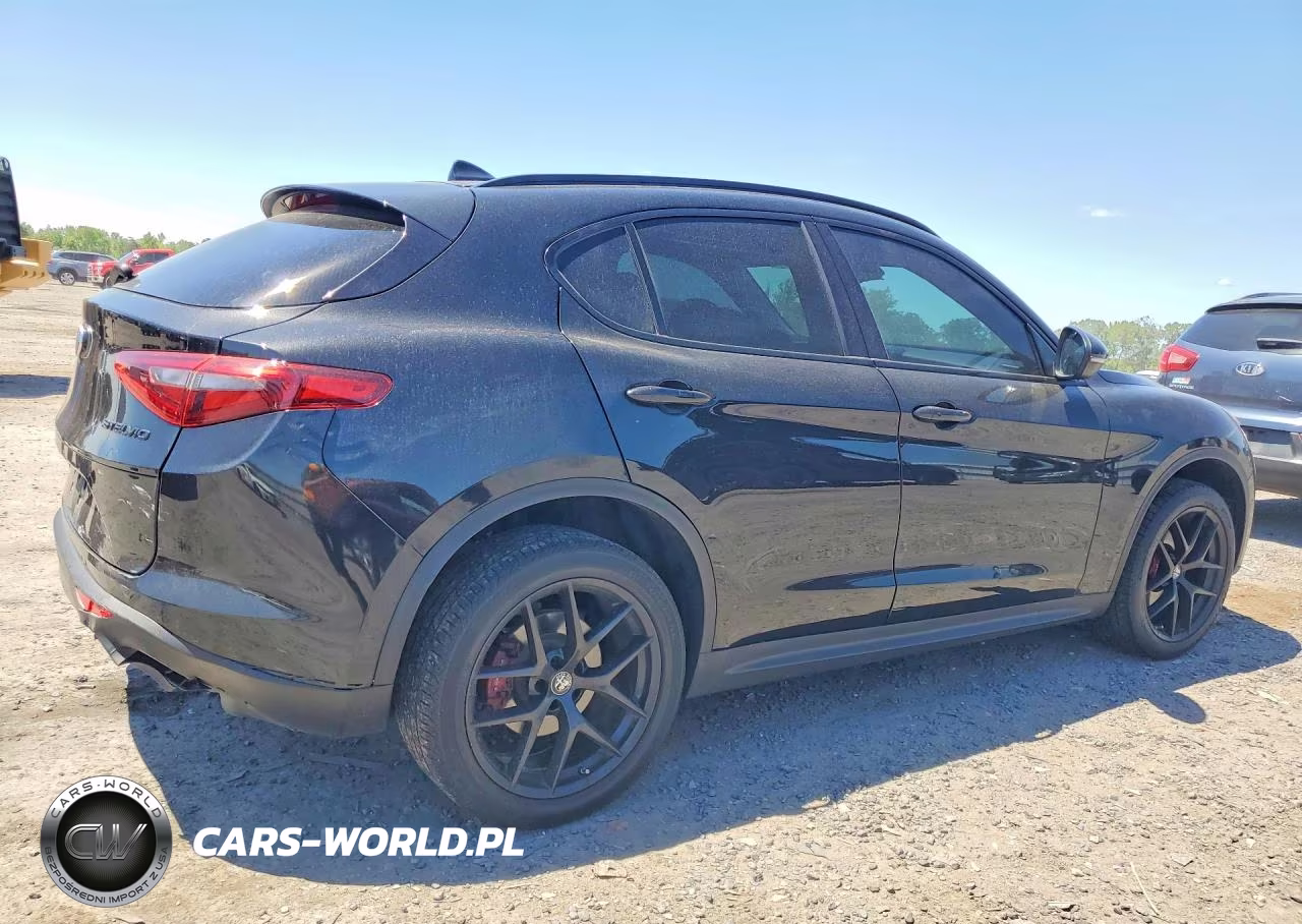 2019 Alfa Romeo Stelvio VIN:ZASPAJAN1K7C71002 - 3